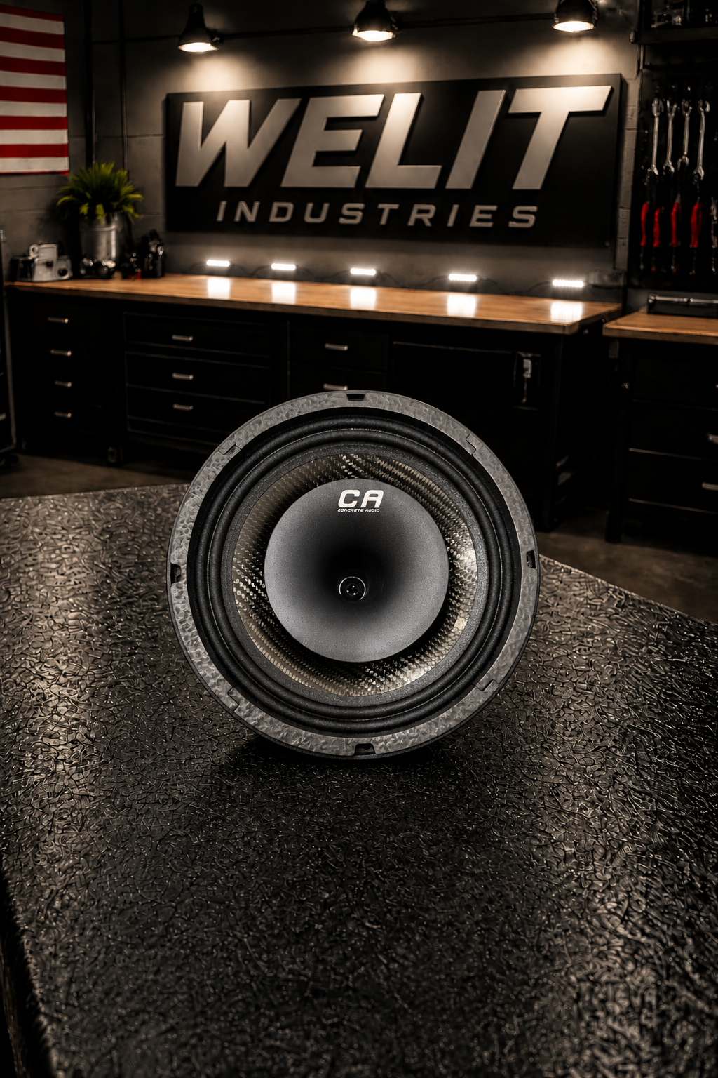 CONCRETE AUDIO 10" LED SPEAKER RINGS | CPA10NDCXCF4 | NO GRILL
