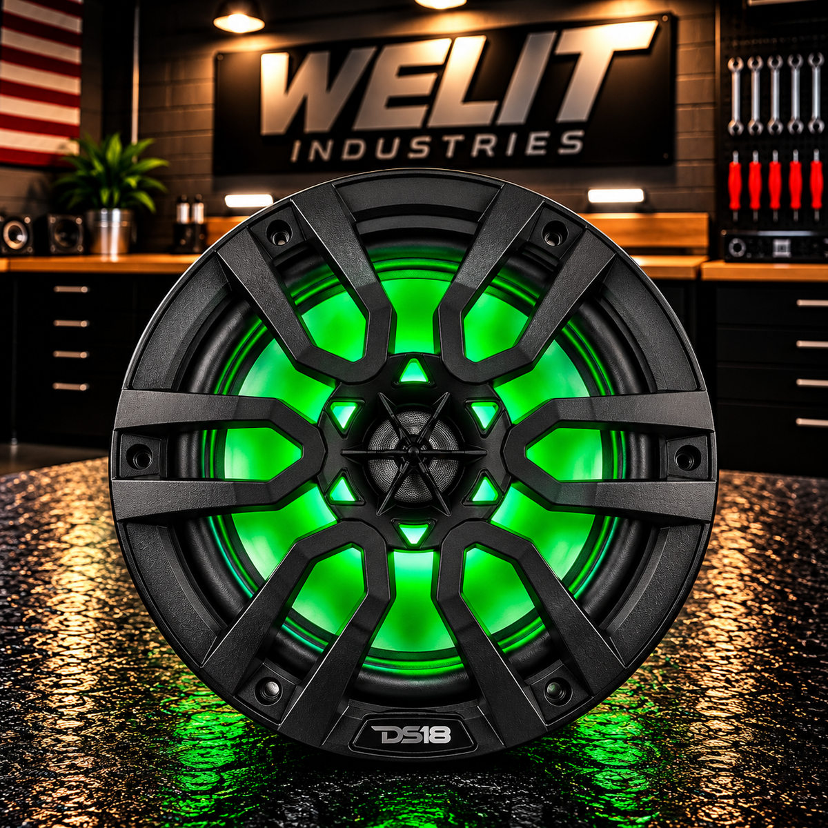 DS18 8" LED SPEAKER RINGS