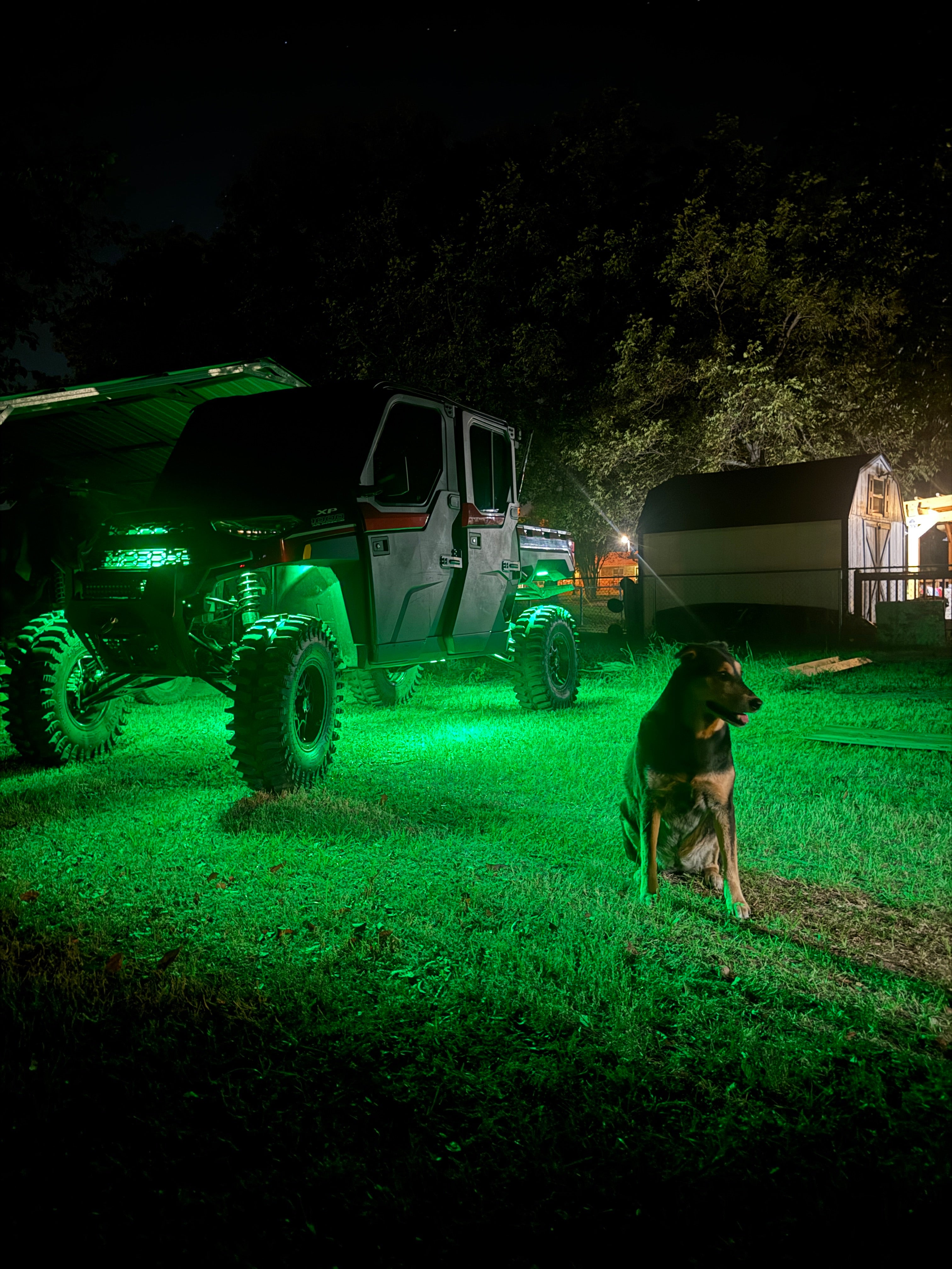 アンモライト　セット SXS} RGB+W: 7.25” ROCK LIGHT KIT – welitindustries