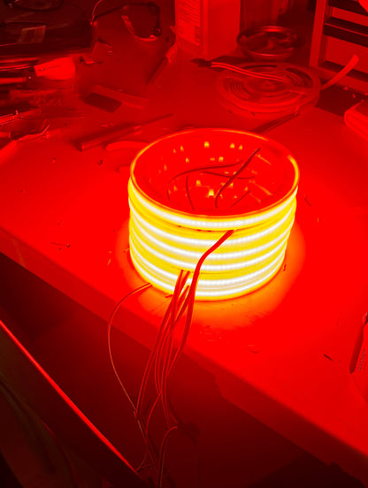 CUSTOM LED SPEAKER RINGS