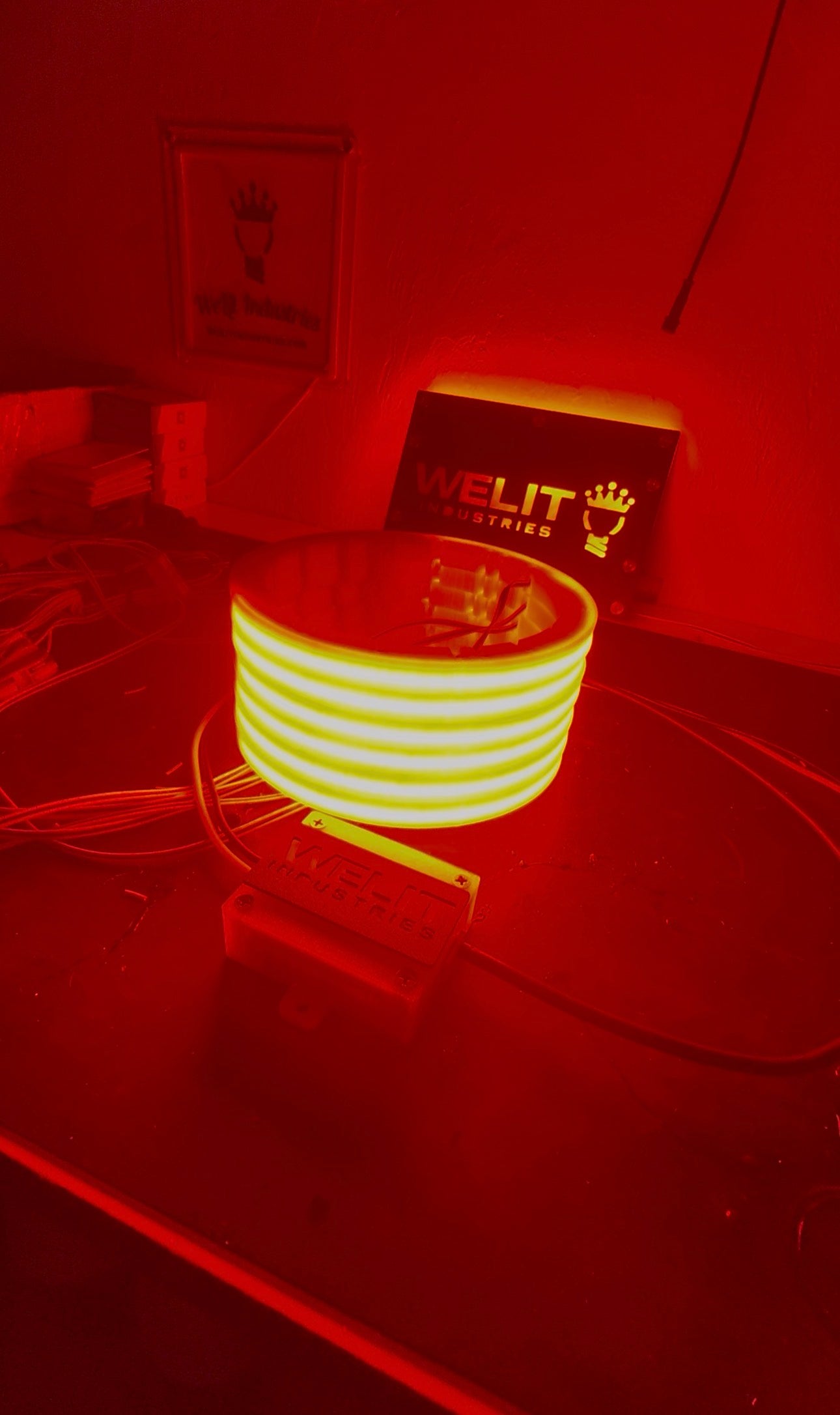 NEMESIS AUDIO 8" LED SPEAKER RINGS