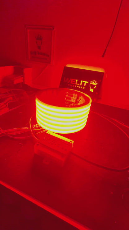 NEMESIS AUDIO 8" LED SPEAKER RINGS