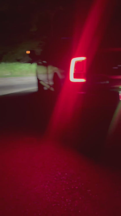 CHASE LED LICENSE PLATE